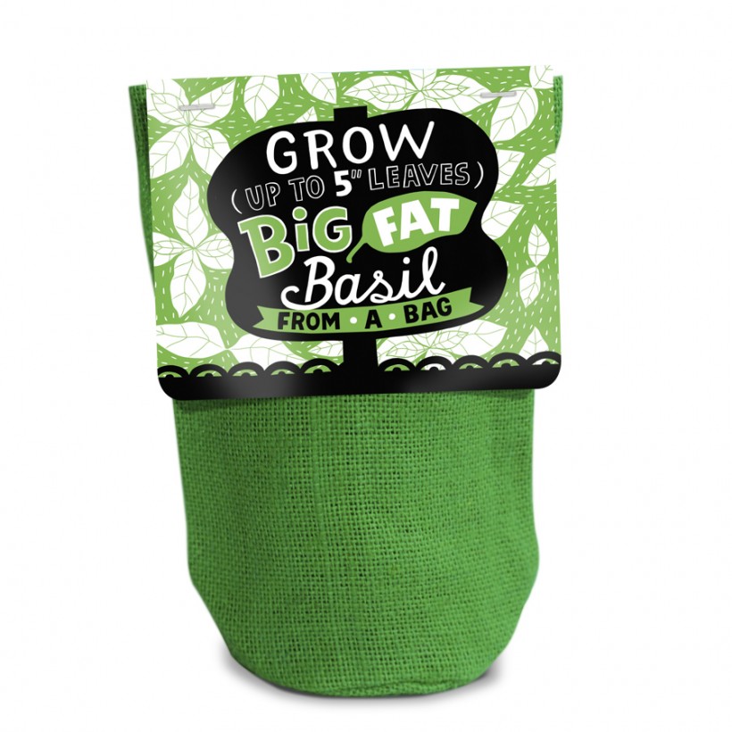 Packaging Design Trends 2017 Lettering Linzie Hunter