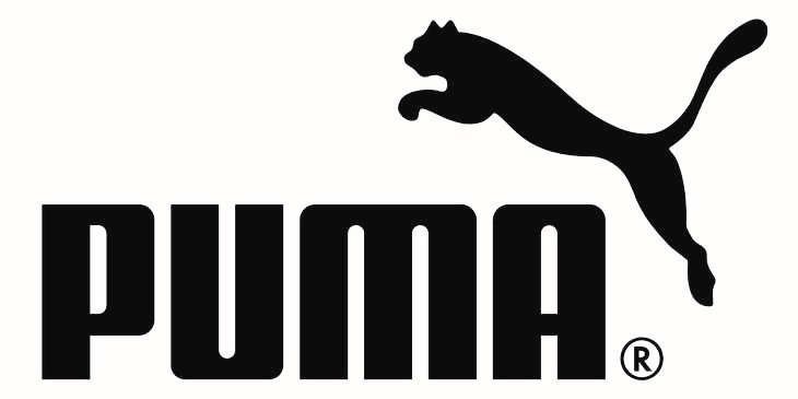 Black and White Puma